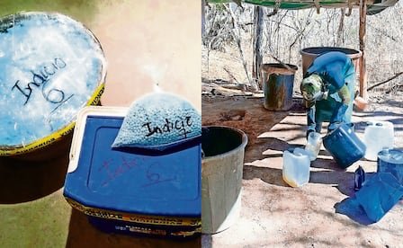 Se dispara en México cifra de aseguramientos de fentanilo; expertos lo ligan con presión de EU