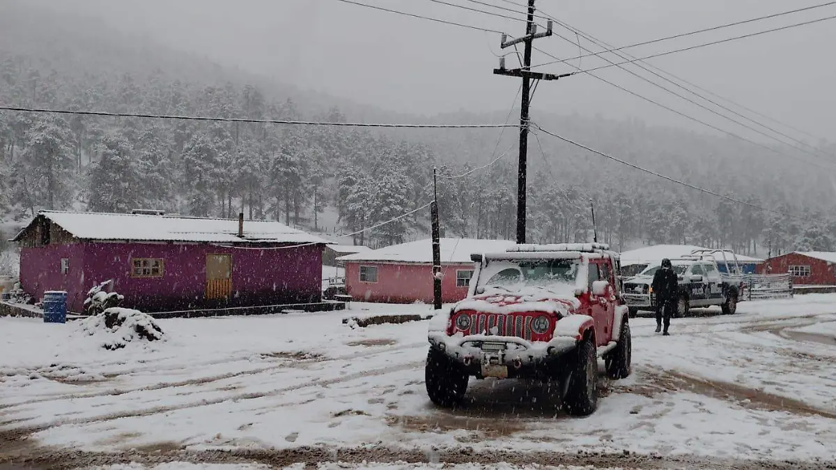 Árboles explosivos y sismos de hielo: los fenómenos que podrían ocurrir durante la tormenta invernal en Norteamérica
